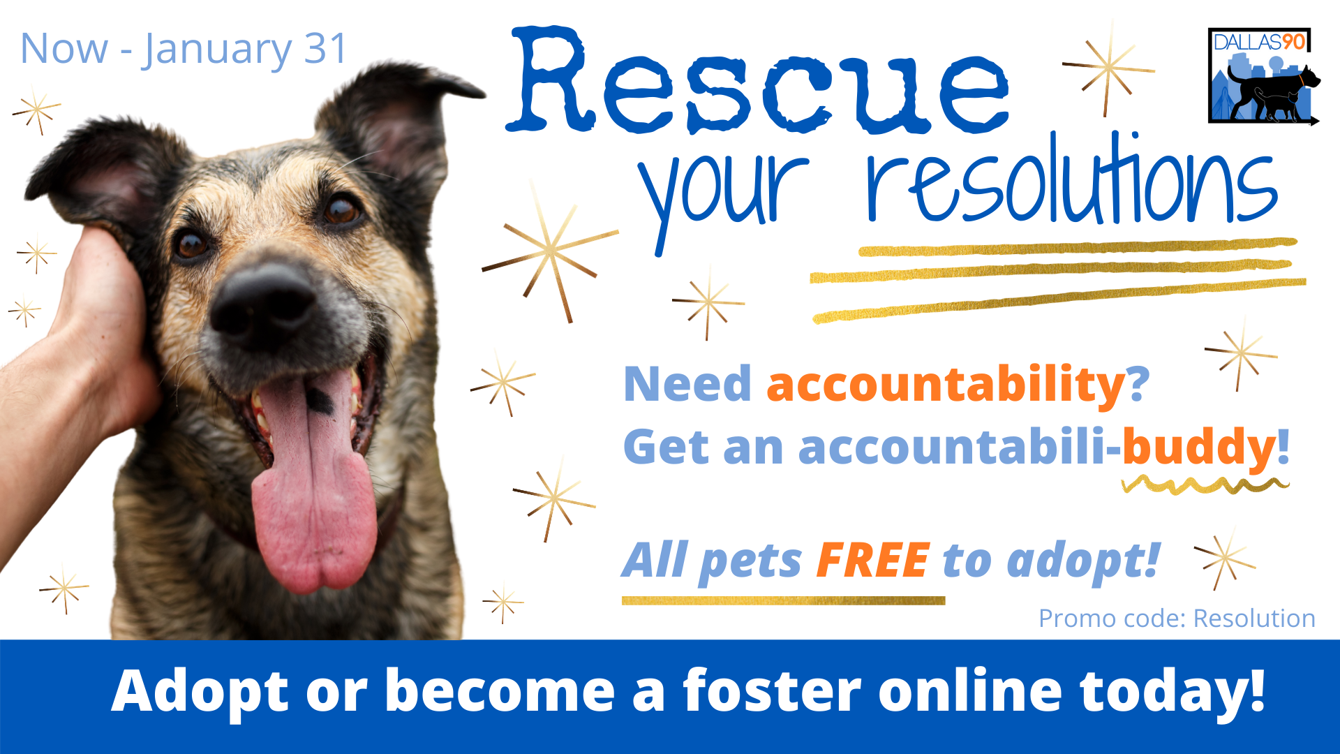59 Best Photos Foster Small Animals Near Me Find A Shelter Adopt Or